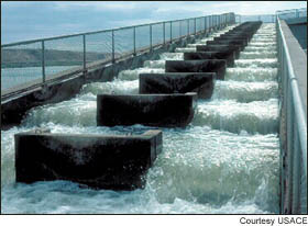 (ACOE) Fish ladder at Ice Harbor dam