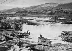 Prior to construction of The Dalles Dam in 1957, Indian tribes netted all they wantedof the plentiful salmon at Celilo Falls