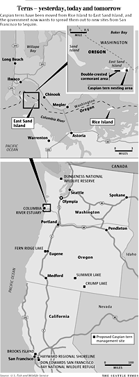 Map - Caspian Terns have been moved from Rice Island to East Sand Island