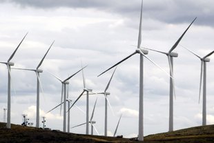Puget Sound Energy's Wild Horse Wind Project, in the hills east of Ellensburg, can generate 273 megawatts of electricity.