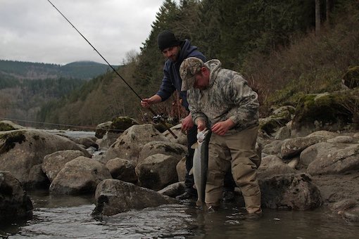 An angler hoists a nice hatchery steelhead. (Seattle Times archive photo)