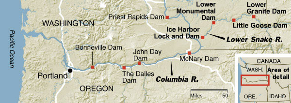 The New York Times map of Lower Snake dams on down to the ocean.