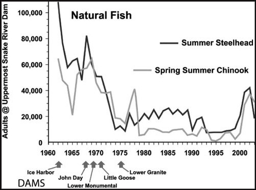 Returns of Natural Fish to Idaho as counted at Lower Granite Dam
