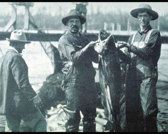 Historic photo of Fisherman with Catch