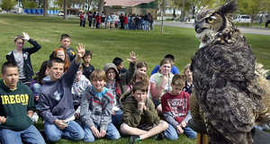 A great horned owl named Alberta swivels its head Tuesday as students in Audrey Hickman's fifth-grade class at Lincoln Elementary School in Kennewick take turns answering questions by Pam Wolff of the West Valley Outdoor Learning Center in Spokane. The presentation was one of several dozen at the two-day Salmon Summit 2011 being held in Columbia Park.