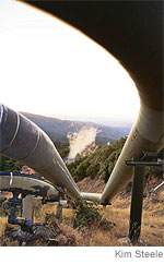 (Kim Steele) Calpine pipelines delivering steam