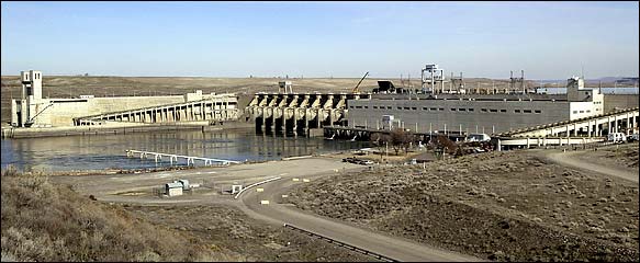 A plan outlining the steps to evaluate the potential breaching of one or more dams on the Lower Snake River, including Ice Harbor Dam near Pasco, to ensure the survival of endangered wild salmon and steelhead was released Wednesday by the Army Corps of Engineers.