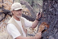 Forest Service researcher Jesse Logan. Photo courtesy Jesse Logan