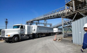 (Bill Wagner) A grain truck drives under conveyers that take grain from trucks and train cars onto waiting ships at the Port of Kalama.