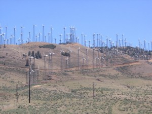 Wind-turbines sprouting up in the New West.