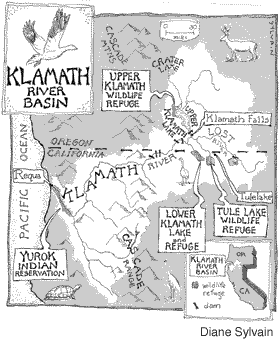 Klamath Basin map by Diane Syvain