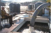 Army Corps of Engineers loads chinook and steelhead onto a barge at Lower Granite Dam in 1996.
