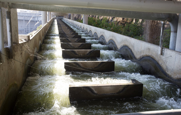 In this file photo taken Sept. 24, 2014, water flows through a fish ladder at Lower Granite Dam on the Snake River in Washington state. (Dean Hare/The Moscow-Pullman Daily News via AP)