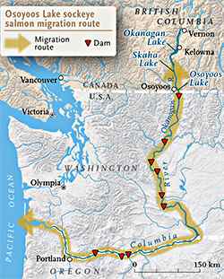Map: (Chris Brackley/Canadian Geographic). Dam data from USGS National Atlas
