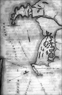 Salmon Can Once Again Explore Marsh Mapped by Lewis and Clark.