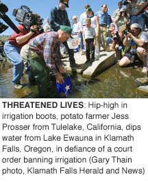 (Gary Thain) Hip-high in irrigation boots, potato farmer Jess Prosser from Tulelake, California, dips water from Lake Ewauna in Klamath Falls, Oregon, in defiance of a court order banning irrigation.