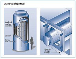 Graphic: Dry Storage of spent nuclear fuel