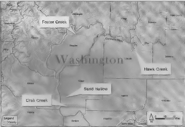 Reservoir sites of the Columbia River mainstem storage options.