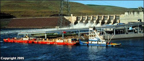 (Army Corps of Engineers) National Marine Fisheries Service scientists invented barging as a method of helping salmon through the lower Snake River dams, but many other scientists question its effectiveness. Above, a barge for juvenile fish heads toward Little Goose Dam on the lower Snake.