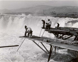 Historic photo of salmon fishing at Celilo Falls