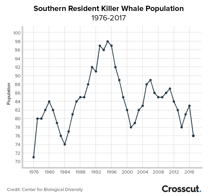 Graphic: Southern Resident Killer Whale populations.