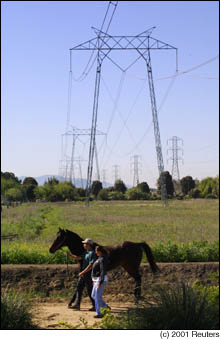 Todd and Tammy Gerard walk their thoroughbred horse at their farm in Vacaville, California on Thursday underneath the power lines that run up the center of the entire state of California.