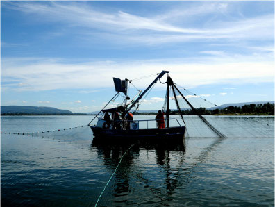 Purse seine for salmon, the future meets the past on the lower Columbia. (WDFW photo)