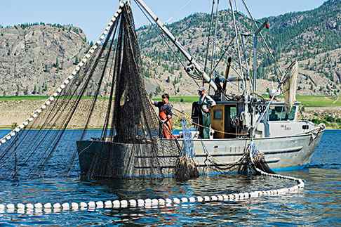 Fishermen aboard the Marion Michelle on Osoyoos Lake set out their nets for sockeye salmon (Photo: Bruce Kemp)