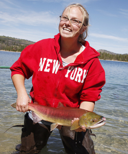 (David N. Seelig) Tomi Quigley, a biological aide at the Sawtooth Fish Hatchery, releases one of nearly 250 sockeye salmon into Redfish Lake on Wednesday. About 450 of the red fish were released this week as part of recovery efforts by the Idaho Department of Fish and Game, and its project partners. Over 700 sockeye returned to the Stanley area this summer, swimming 900 miles upstream from the Pacific Ocean.