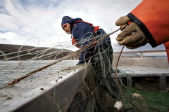(Andy Sawyer) Chauntai Begay, 16, pulls in a gill net while fishing Tuesday on the Columbia River near the Biggs bridge on U.S. Highway 97 with her mother, Delilah Begay, both of Celilo Village, Ore. The pair brought in several sturgeon from the net, one of six they have in the river.