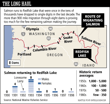 The Long Haul, Salmon runs to Redfish Lake Idaho