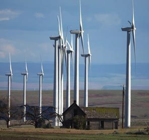 (Steve Ringman) Wind farming is taking over old-fashioned farming on Windy Flats, also near Goldendale.