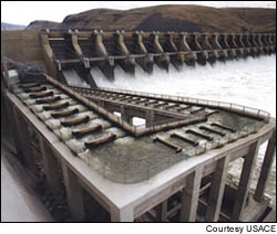 Wild salmon populations on the Snake River have plummeted to less than 10 percent of their original range over the past four decades.