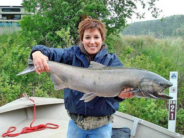 (Ron Turner photo) Krichelle Riedle of Lewiston caught this chinook from the Clearwater River during salmon season. It was among the almost 15,000 chinook landed this year by sport anglers.