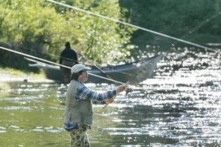 (Kelly Gillin) David St. George of Wenatchee joined dozens of other anglers as Icicle Creek opened for spring chinook fishing in 2003.That season an estimated 6,500 to 7,500 salmon made it to the Icicle.