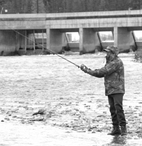 (Mtn Express photo) An angler fishes for steelhead below the weir at the Sawtooth Fish Hatchery on the Salmon River. Next month, the Idaho Fish and Game Commission will consider a limited season for Chinook salmon on the same waters on the upper Salmon. The last time anglers could fish for Chinook in the Sawtooth Valley was in 1977.