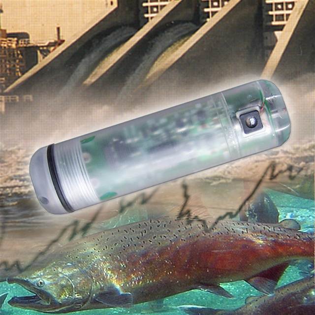 A sensor fish is sent through turbines to measure the pressure conditions inside. (PNNL photo)