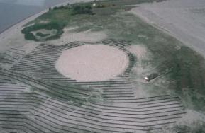Silt fencing used to deter tern nesting on Rice Island in 1999