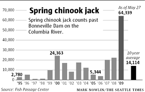 Spring chinook jack counts past Bonneville Dam on the Columbia River (1995-2009)