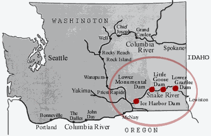 Map: The Lower Snake River dams impound a river from Tri-Cities Washington all the way up into Idaho.