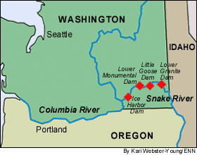 Kari Webster-Young. Discussion continues over removal of these four dams constructed on the lower Snake River.