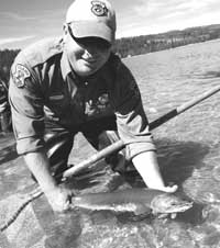 An endangered sockeye salmon is released into Redfish Lake south of Stanley.