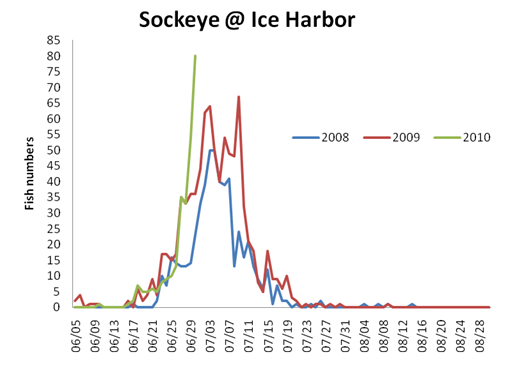 Sockeye run timing at Ice Harbor 2008-2010