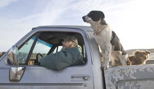 (GORDON KING) It don't make sense to me,