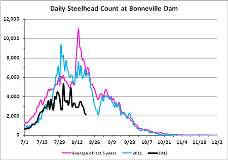 Graph of adult Steelhead migration over Bonneville Dam