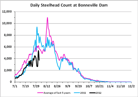 Graph of adult Steelhead migration over Bonneville Dam
