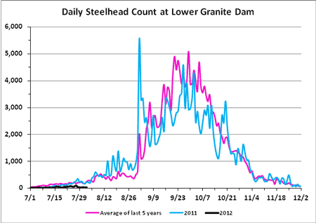 Graph of adult Steelhead migration over Lower Granite Dam