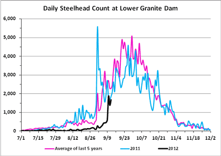 Daily Steelhead Count at Lower Granite Dam. 2012, 2011 and 10 year average.