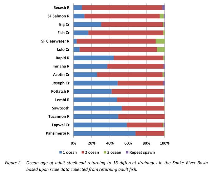 Graphic: Steelhead in the NW spend one to two years in the ocean (rarely three years).