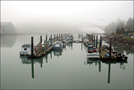 (Grant M. Haller) Swinomish Tribe fishing boats sit at the reservation dock on a foggy morning. Most have been converted for winter crab fishing, their gillnets in storage.